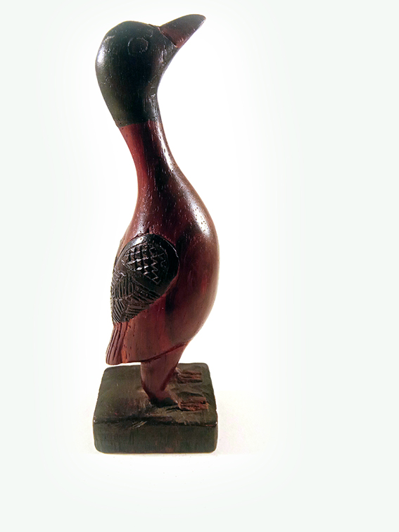 DUCK